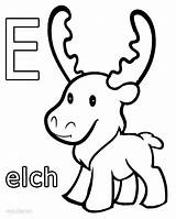 Elch Moose Malvorlagen Ausmalbilder Cool2bkids sketch template