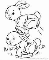 Coloring Easter Bunny Pages Cottontail Peter Color Kids Print Colouring Rabbit Bunnies Sheets Rabbits Printable Sheet Books Karate Honkingdonkey Hopping sketch template