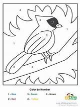 Bird Color Worksheets Number Preschool Activities Kindergarten Printable Kids Allkidsnetwork sketch template