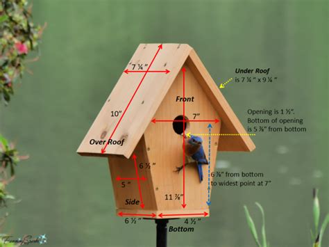 diy bluebird approved birdhouse tutorial fanningsparks