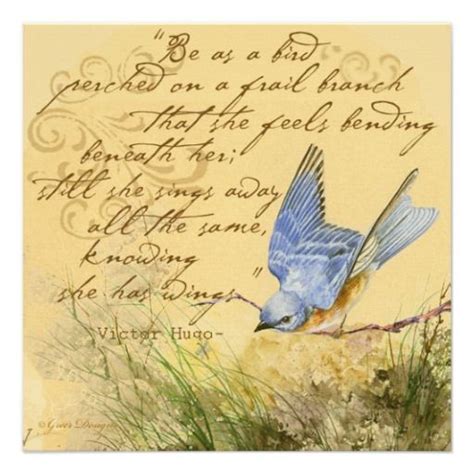 quotes about bluebirds quotesgram