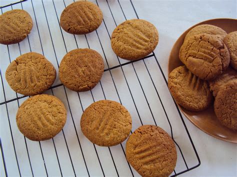 dig  wholemeal cocoa biscuits ginger biscuits