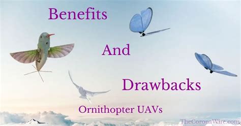 ornithopter droneuav advantagesdisadvantages explained  corona wire