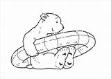 Bear Polar Float Coloring Pages Lars Holds Its Little Supercoloring sketch template