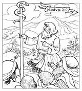 Bible Moses Serpent Coloring Pages Sunday School Snake Brass Brazen Bronze Story Kids Activities Crafts Colouring Sheet Color Sheets Stories sketch template