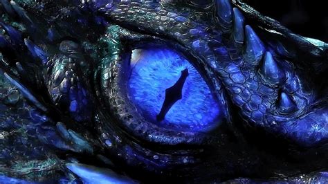blue dragon wallpapers  images