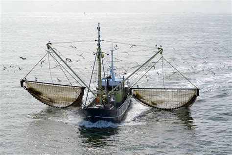 brexit deal  pressure  fishing rights  eu states alfa logistics family