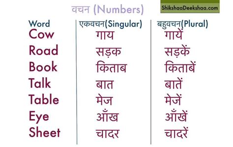 noun worksheets  grade   hindi practice worksheets