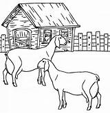 Boerderij Fazenda Animais Ausmalbilder Bauernhof Topkleurplaat Goat Cool2bkids Dieren Goats Pintar Fazendinha Boerderijdieren Comofazeremcasa sketch template