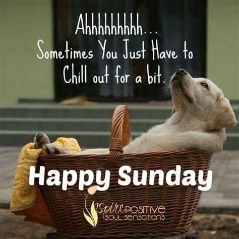 Pin By Sandy Jackson On Love Sunday Happy Sunday Quotes Sunday Humor