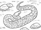 Snake Coloring Pages Anaconda Viper Rattlesnake Dodge Scary Ninjago Color Colouring Printable Snakes Getcolorings Diamondback Getdrawings Animal Sheet Sheets Colorings sketch template