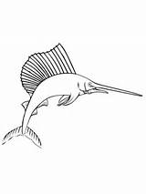 Marlin Coloring Pages Fish Supercoloring sketch template