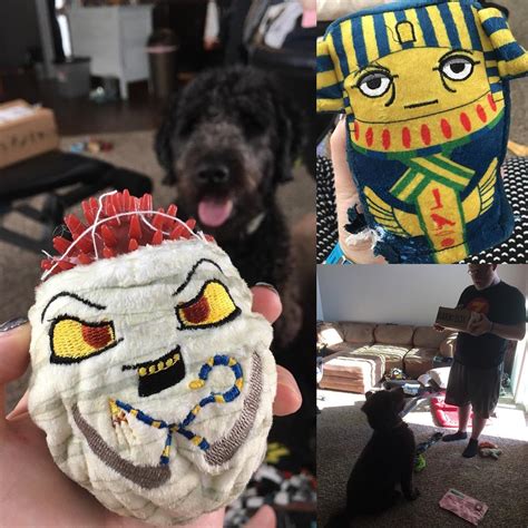 12 times there were surprises in barkbox toys and you had no idea