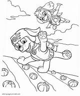 Patrol Paw Coloring Pages Zuma Printable Kids Skye Print Psi Do Wydruku Characters Kolorowanki Para Canina Malowanki Kit Patrulla Pintar sketch template