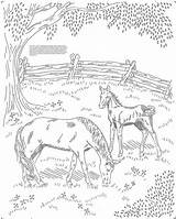 Coloring Meadow Pages Horses Horse Popular Colouring Choose Board sketch template