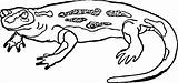 Tritone Newt Anfibi Tritons Ausmalbild sketch template