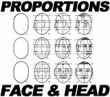 Proportions Brows Drawinghowtodraw sketch template