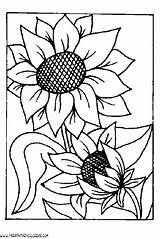 Girasoli Stove Sunflower sketch template