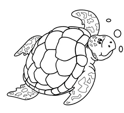 drawing sea turtle coloring page cute printable template baby turtle
