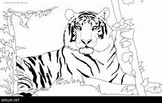 animal coloring pages   year olds animal coloring pages jungle