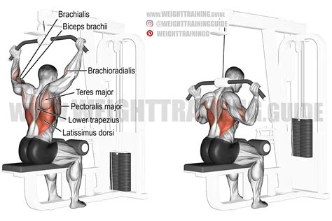 neck lat pull  guide  video weight training guide