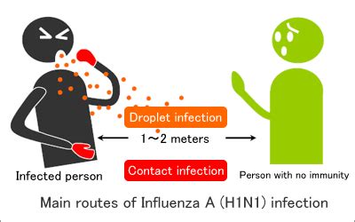 influenza  hn