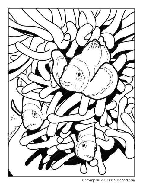 fishchannel coloring pages fish coloring page coloring pages animal