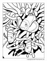 Clownfish Koi Adults Clipartpanda Clipartmag sketch template