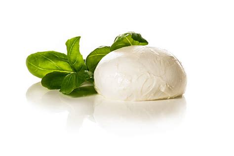 mozarella stock  pictures royalty  images istock