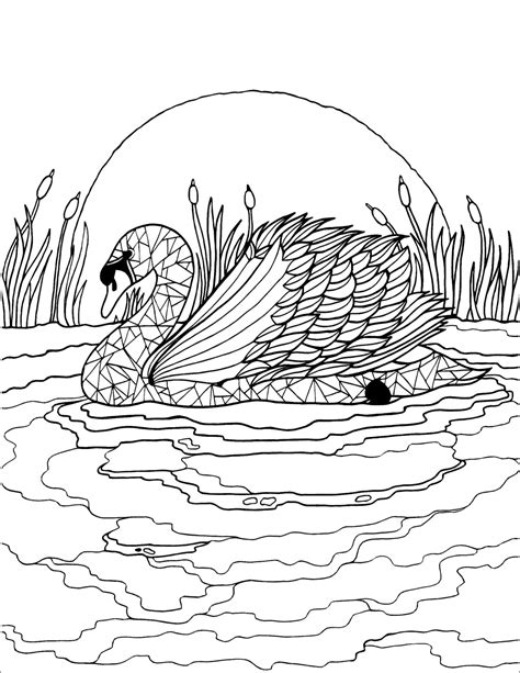 Swan Coloring Page For Adult Coloringbay