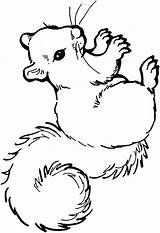 Squirrel Coloring Kids Pages Fun sketch template