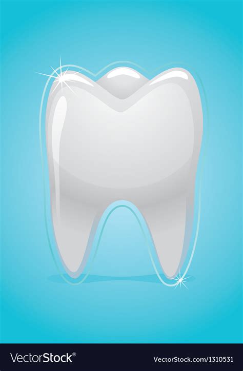 health of teeth royalty free vector image vectorstock