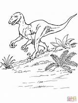 Coloring Dinosaur Pages Deinonychus Printable Drawing Velociraptor Print Egg Jurassic Dinosaurs Colouring Top Park Color Raptor Books Dot sketch template