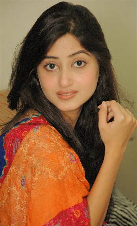 january 2014 ~ pakistani actresses