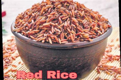 manufacturer  brown rice  bangalore karnataka  nandhini agro foods
