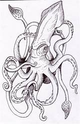 Kracken Deviantart Squid Drawing Tattoo Kraken Octopus Dibujo Dibujos Drawings Coloring Really Calamar Woodcutting Style Sketches Bf Im Pleased Do sketch template