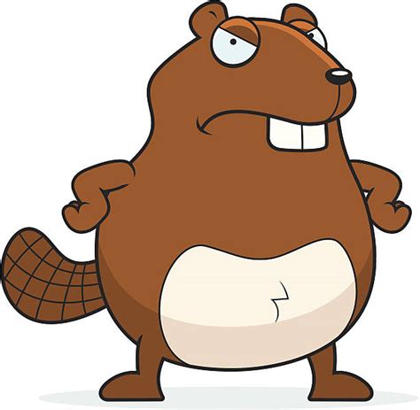 best cartoon of the angry beavers illustrations royalty free vector