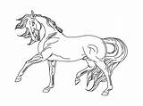 Breyer Coloring Pages Horse Secretariat Getdrawings Color Getcolorings Library sketch template