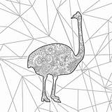 Zentangle Ostrich sketch template