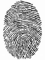 Fingerprint Clipart Finger Print Identity Fingerprints Clip Theft Transparent Real Search Google Tools Science Pluspng Categories Designlooter Clipground Webstockreview Drawings sketch template