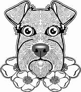 Coloring Pages Dog Adults Head Dogs Hard Schnauzer Adult Color Skull Sugar Printable Print Getcolorings Book Choose Board Animal Getdrawings sketch template