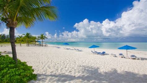 beaches   bahamas beach travel destinations
