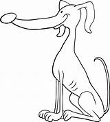 Galgo Dog Greyhound Colorare Levriero Pagine Printable Justcoloringbook sketch template