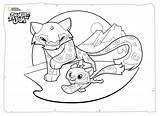 Jam Coloring Animal Pages Fox Getdrawings sketch template