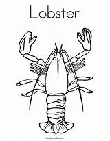 Lobster Udang Wikiclipart Homecolor sketch template