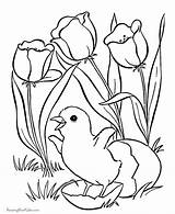 Coloring Pages Easter Flower Flowers Kids Printing Help sketch template