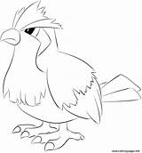 Pokemon Pidgey Coloring Pages Printable Print Info sketch template