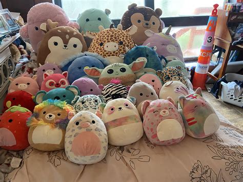 updated squishmallow collection rsquishmallow