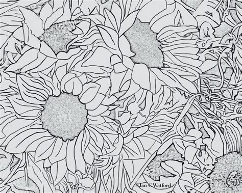 sunflowers  adult coloring pages coloring page printable