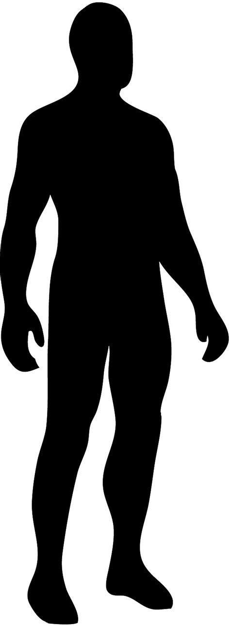 human body outline png clipart